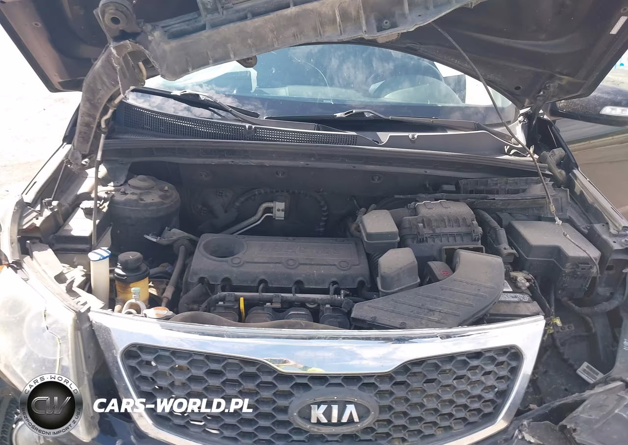 2011 Kia Sorento Lx VIN:5XYKTDA15BG064465 - 10