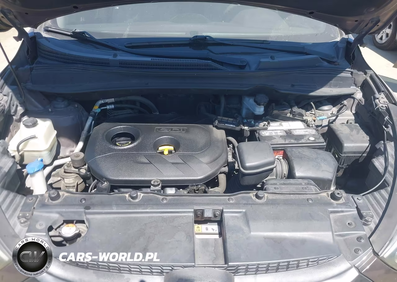 2014 Hyundai Tucson Gls VIN:KM8JT3AF3EU848286 - 10