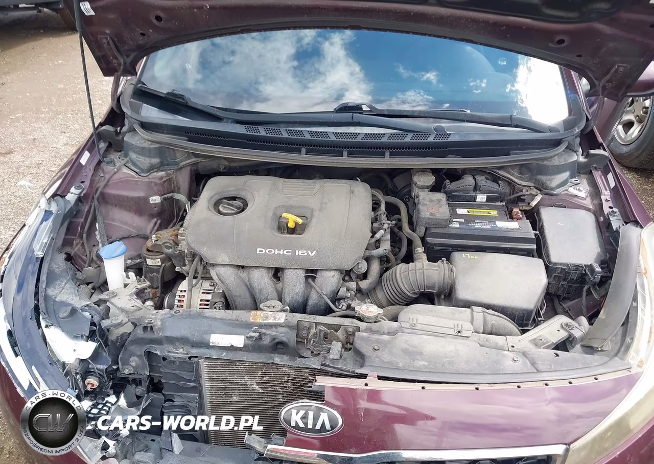 2017 Kia Forte Lx VIN:3KPFL4A7XHE124378 - 10