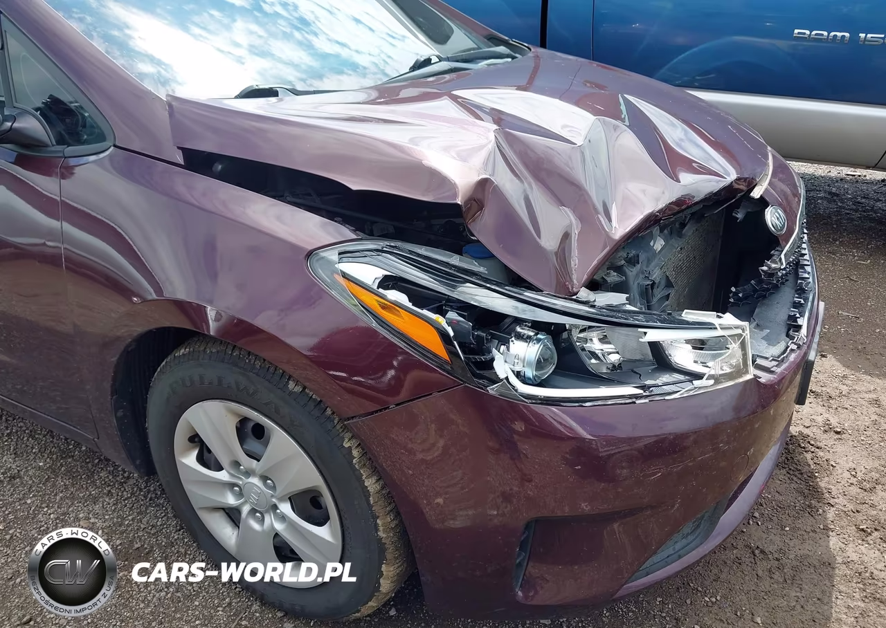 2017 Kia Forte Lx VIN:3KPFL4A7XHE124378 - 13