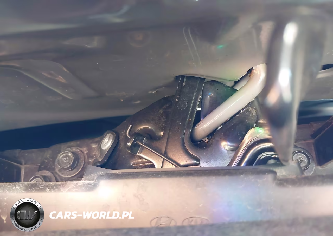 2025 Hyundai Elantra Sel Sport VIN:KMHLM4DG4SU962647 - 10