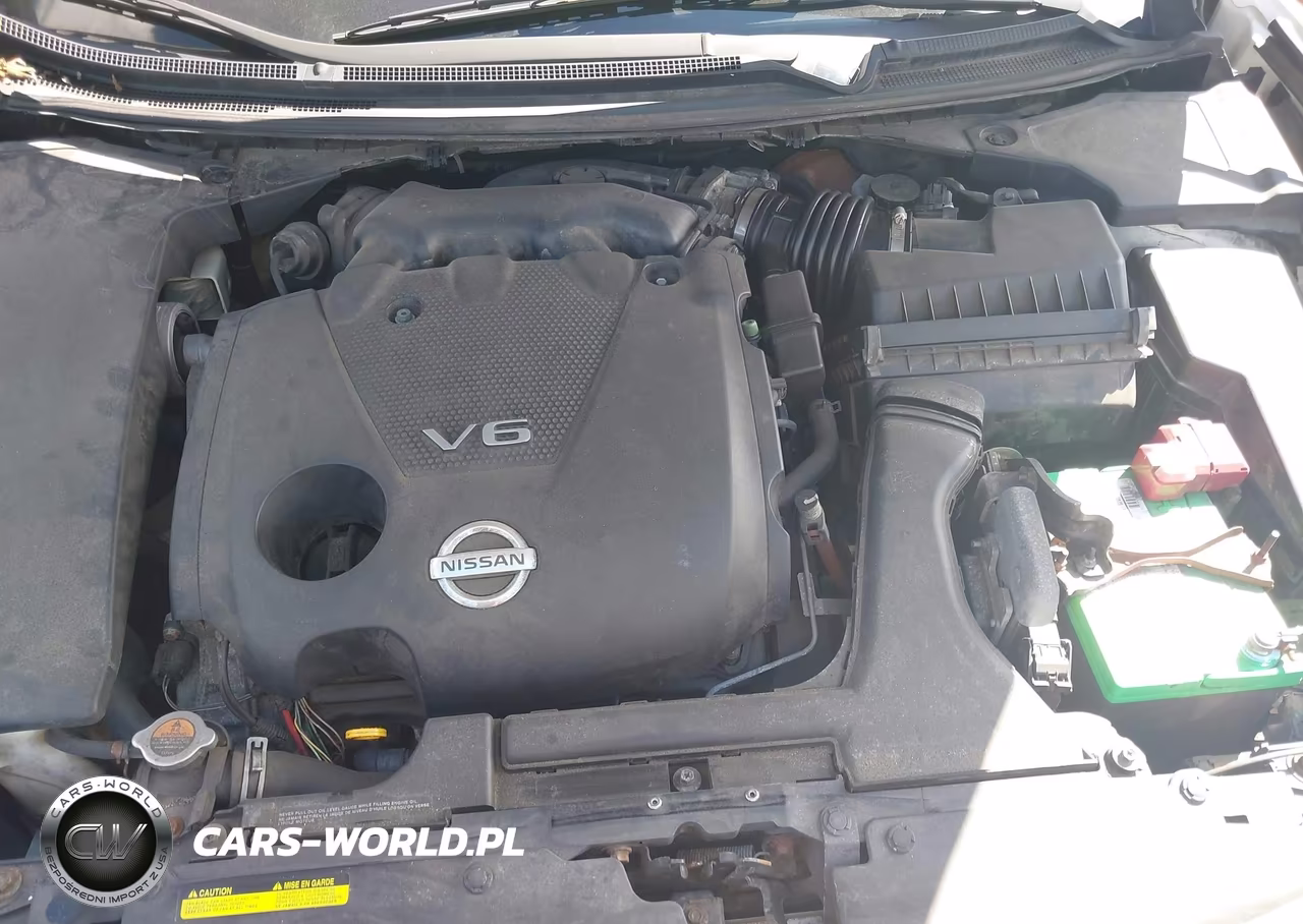 2010 Nissan Maxima S-Sv VIN:1N4AA5AP1AC821480 - 10