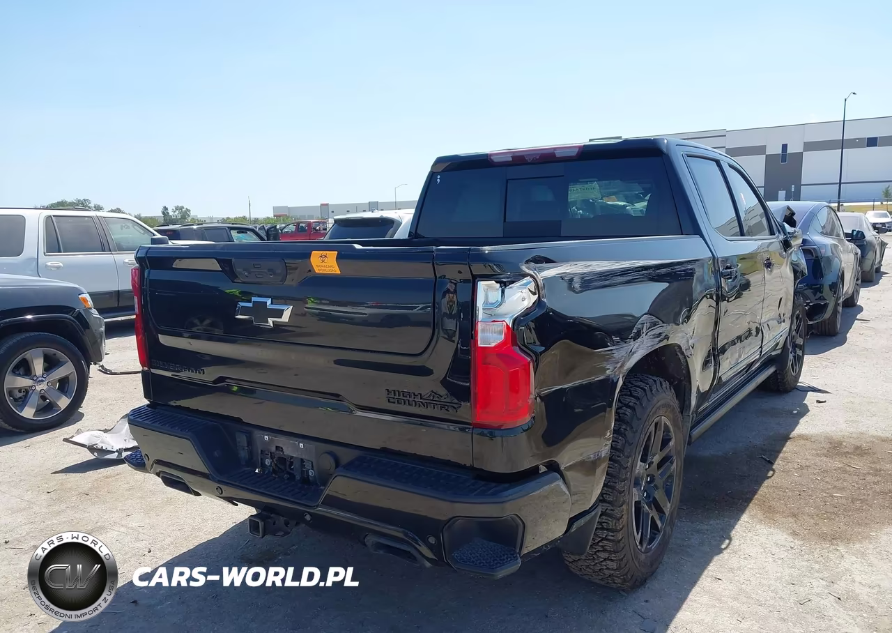 2024 Chevrolet Silverado 1500 VIN:1GCUDJE88RZ366548 - 4