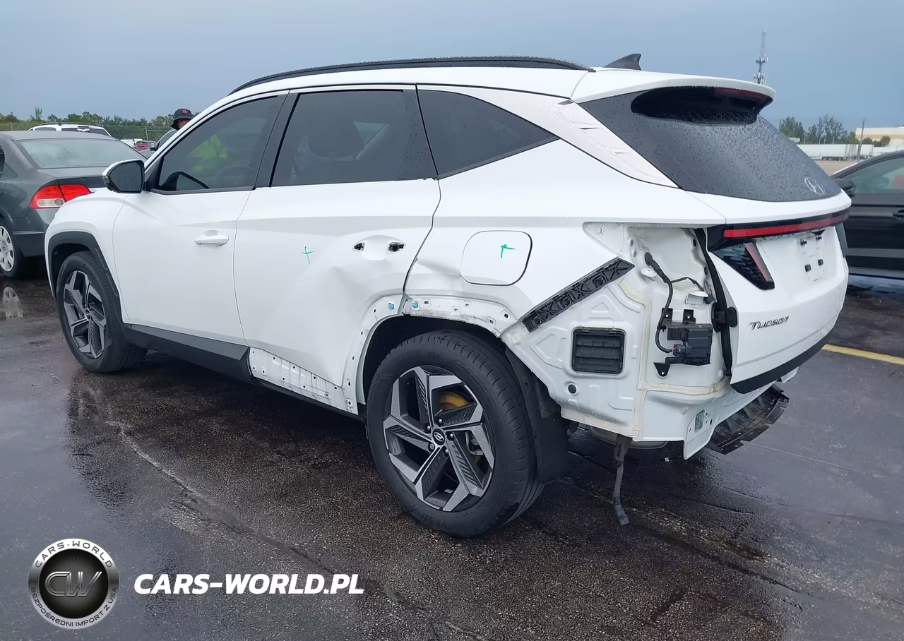 2022 Hyundai Tucson Limited VIN:5NMJE3AE9NH060223 - 3