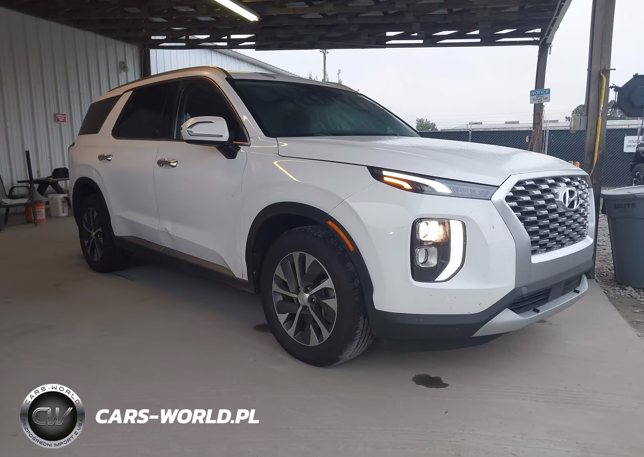 2020 Hyundai Palisade Sel VIN:KM8R24HE0LU137022 - 1