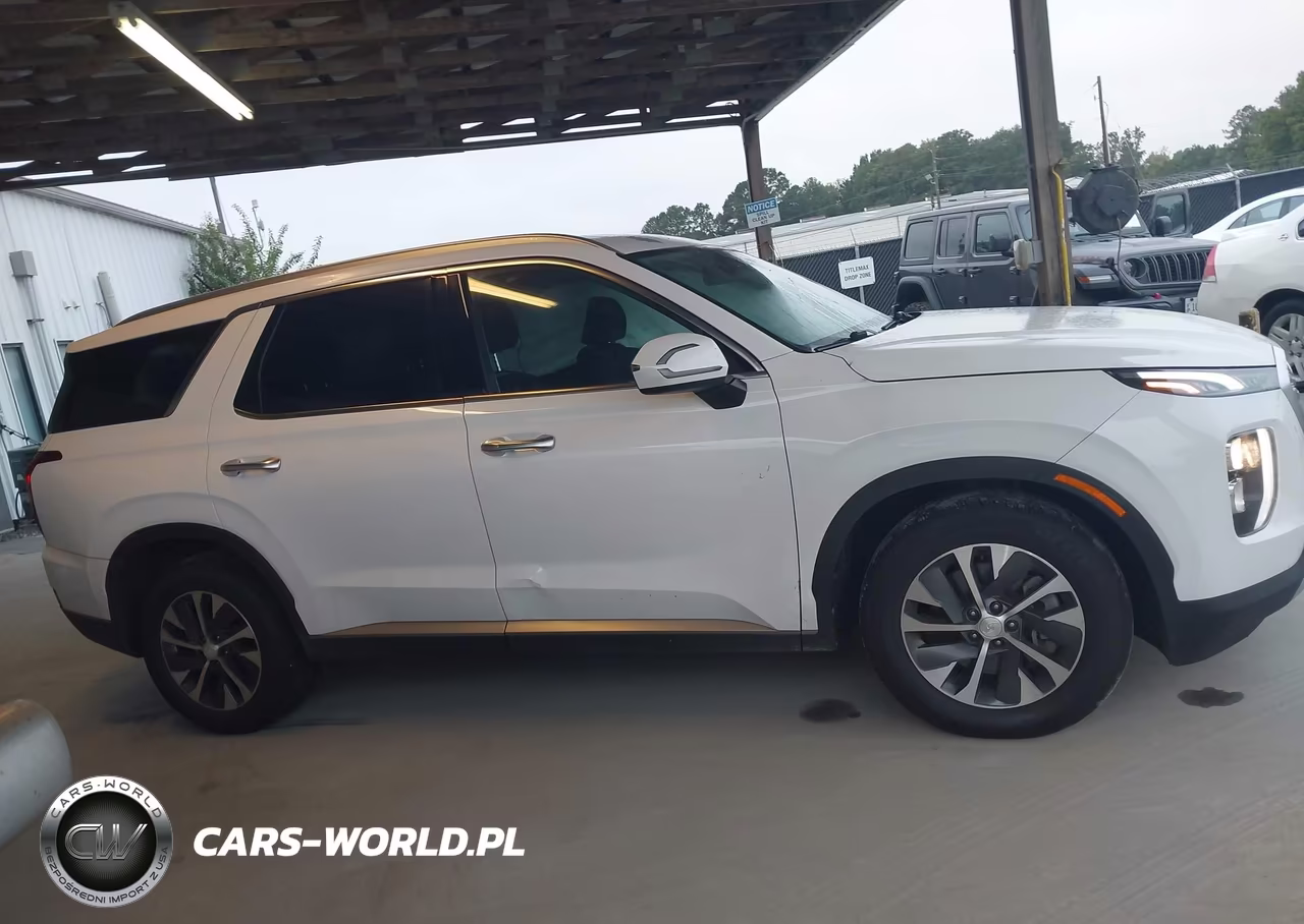 2020 Hyundai Palisade Sel VIN:KM8R24HE0LU137022 - 12