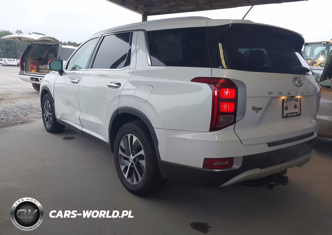 2020 Hyundai Palisade Sel VIN:KM8R24HE0LU137022 - 3