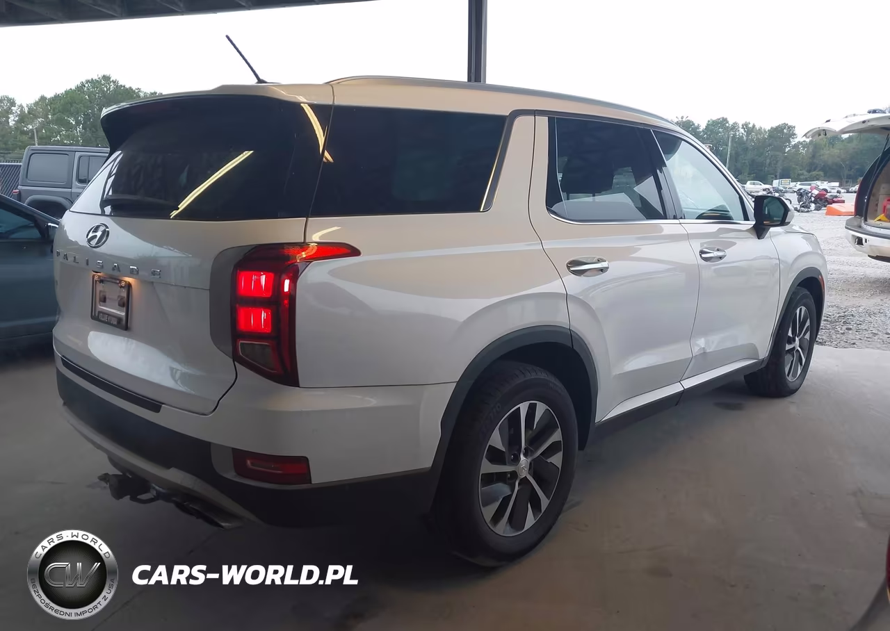 2020 Hyundai Palisade Sel VIN:KM8R24HE0LU137022 - 4