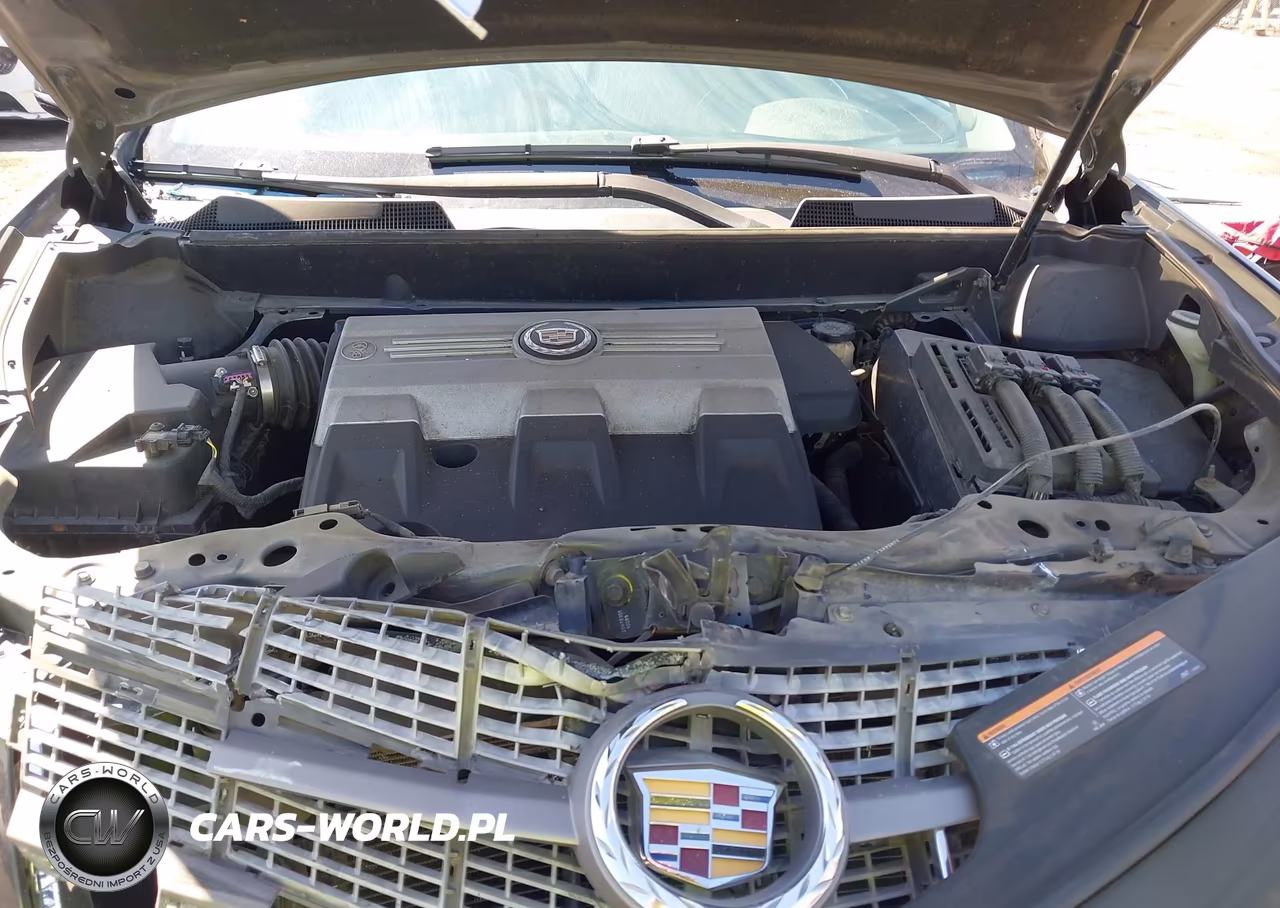 2010 Cadillac Srx Luxury Collection VIN:3GYFNAEY4AS641432 - 10