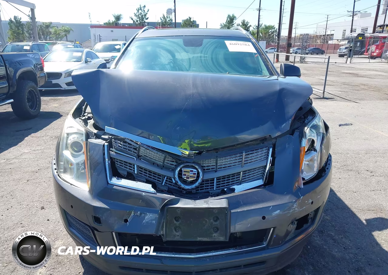 2010 Cadillac Srx Luxury Collection VIN:3GYFNAEY4AS641432 - 12