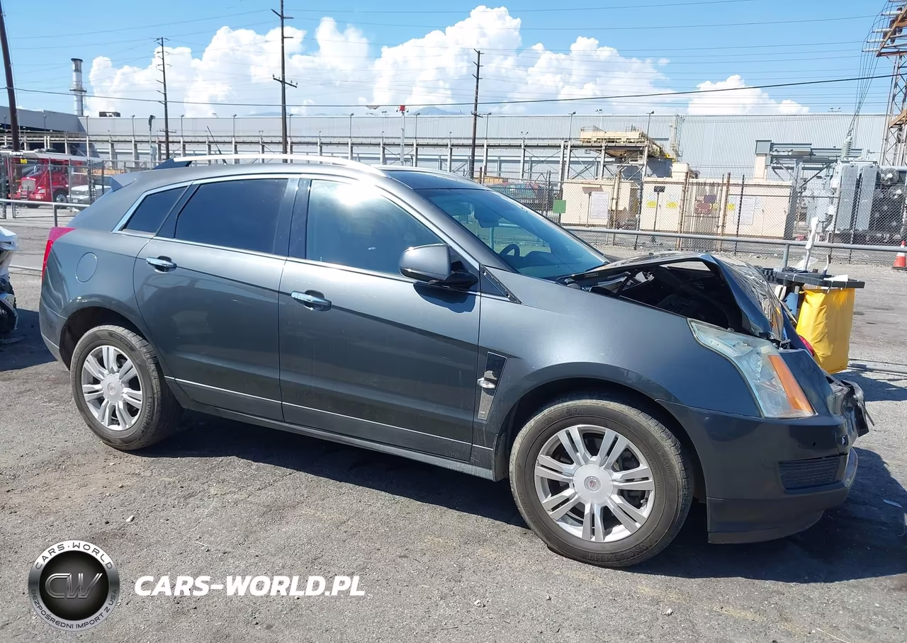2010 Cadillac Srx Luxury Collection VIN:3GYFNAEY4AS641432 - 13