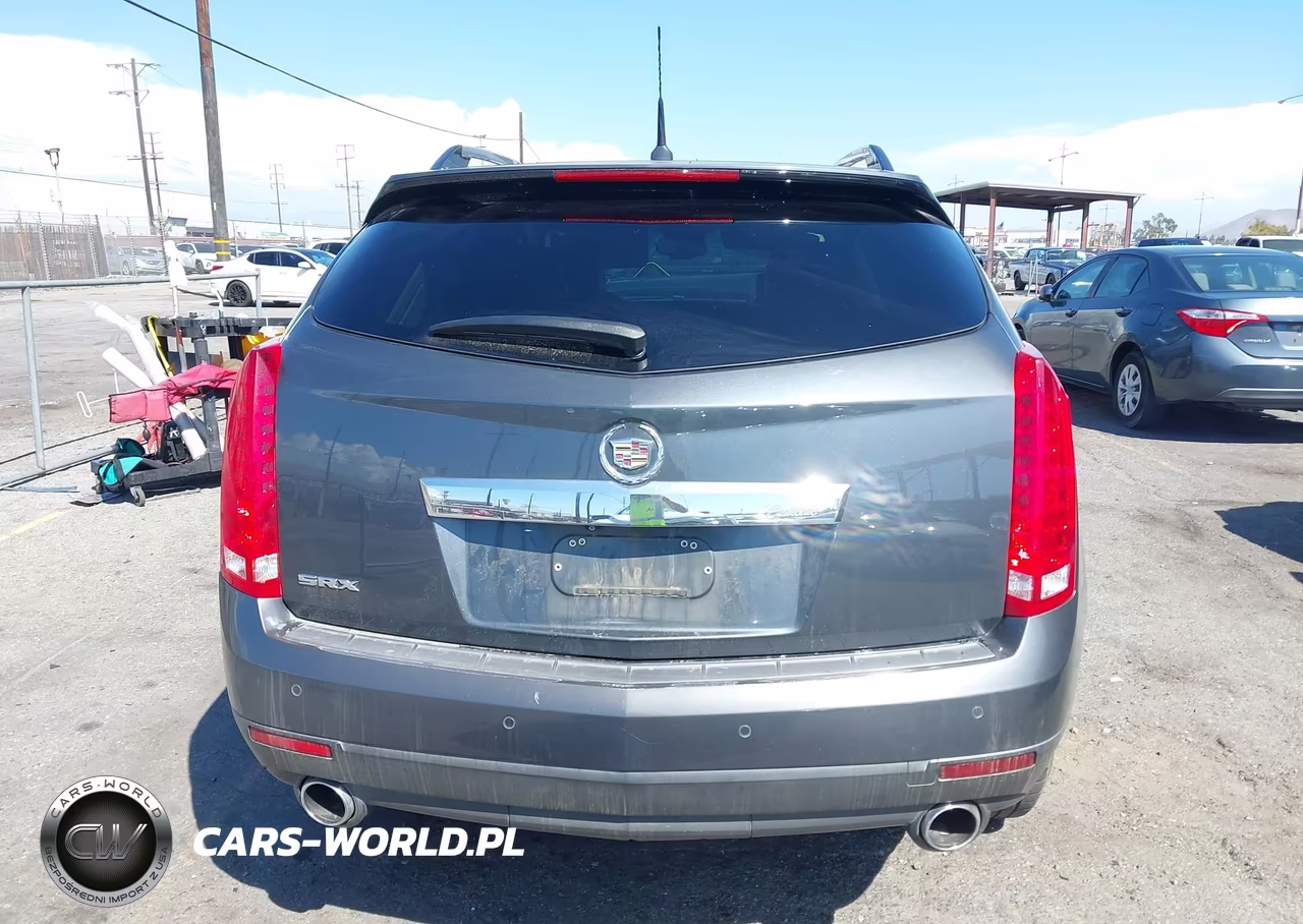 2010 Cadillac Srx Luxury Collection VIN:3GYFNAEY4AS641432 - 16