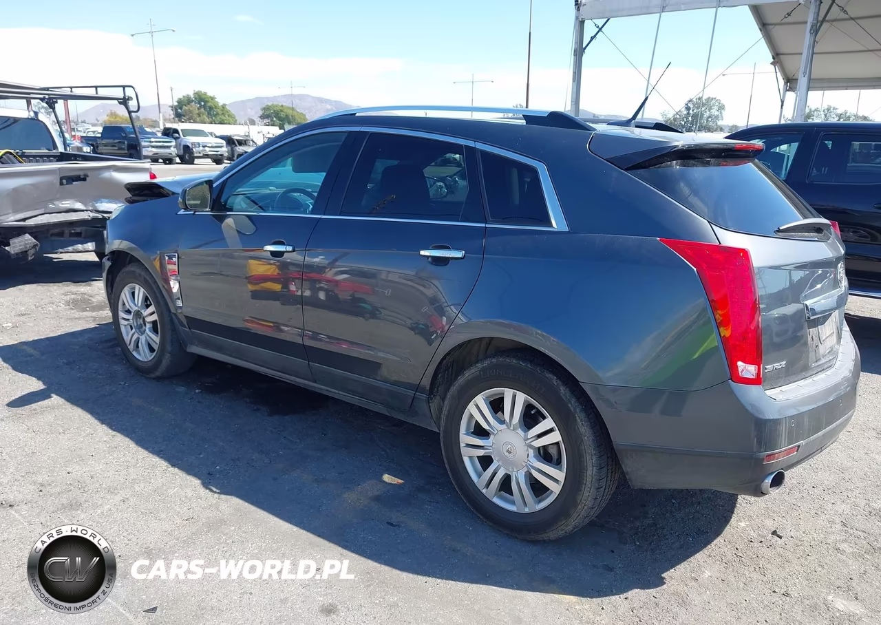 2010 Cadillac Srx Luxury Collection VIN:3GYFNAEY4AS641432 - 3