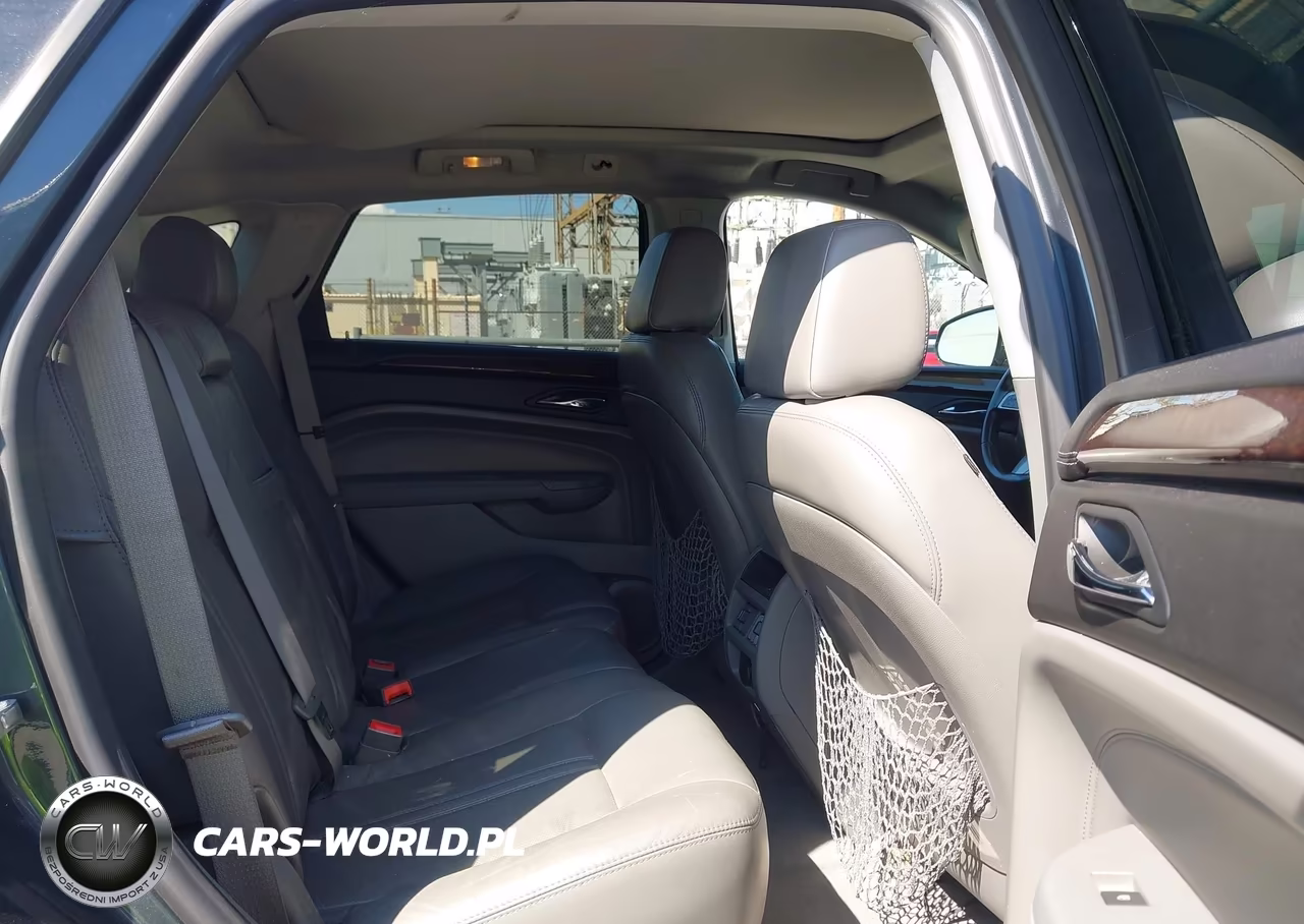2010 Cadillac Srx Luxury Collection VIN:3GYFNAEY4AS641432 - 8