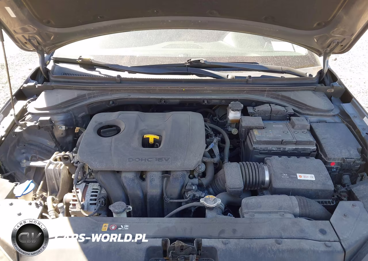2019 Hyundai Elantra Limited VIN:KMHD84LF7KU814753 - 10