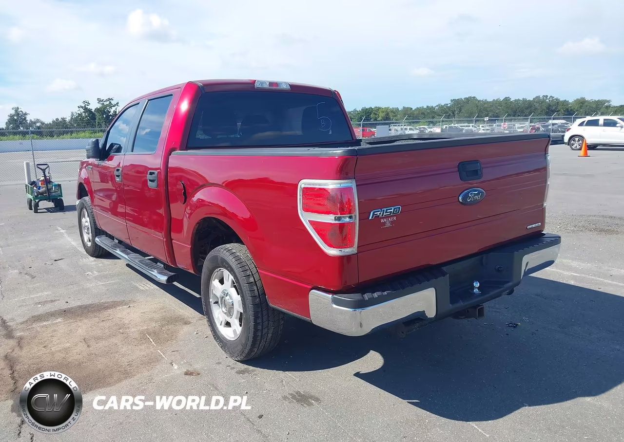 2014 Ford F-150 Xlt VIN:1FTEW1CMXEKF43649 - 3
