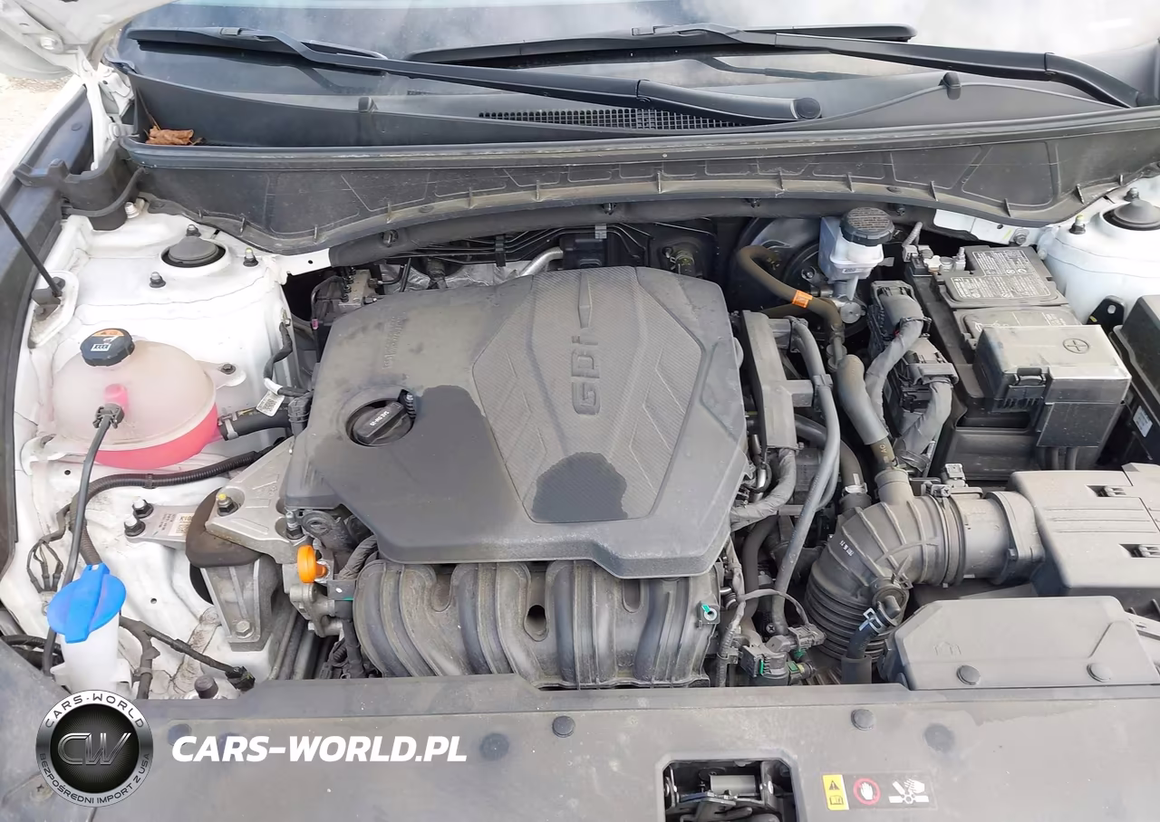 2023 Hyundai Tucson Sel VIN:5NMJBCAEXPH177630 - 10