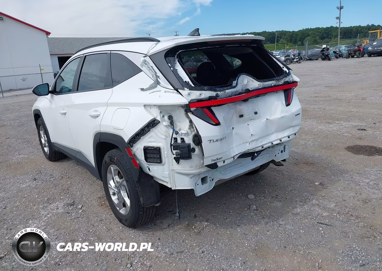 2023 Hyundai Tucson Sel VIN:5NMJBCAEXPH177630 - 3
