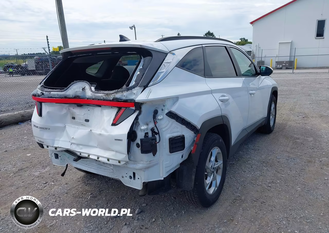 2023 Hyundai Tucson Sel VIN:5NMJBCAEXPH177630 - 4