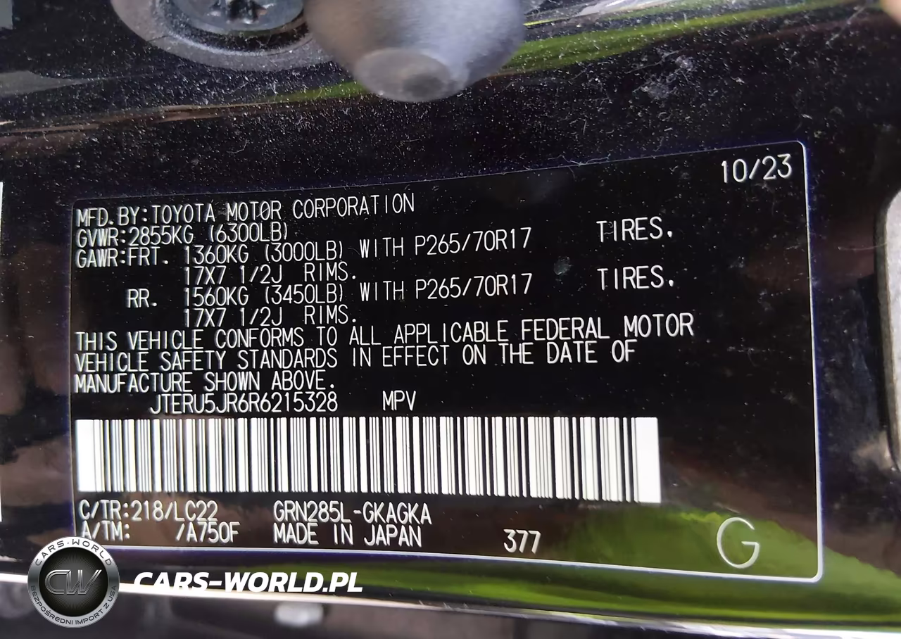 2024 Toyota 4Runner Sr5 Premium-Limited-Trd Sport-Trd Off Road-Trd Off Road Premium-Trd Pro VIN:JTERU5JR6R6215328 - 9