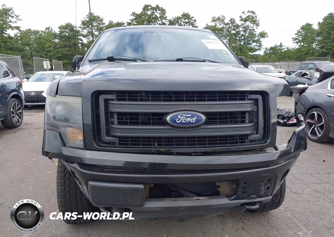 2013 Ford F-150 Fx4 VIN:1FTFW1EF9DKE21317 - 12