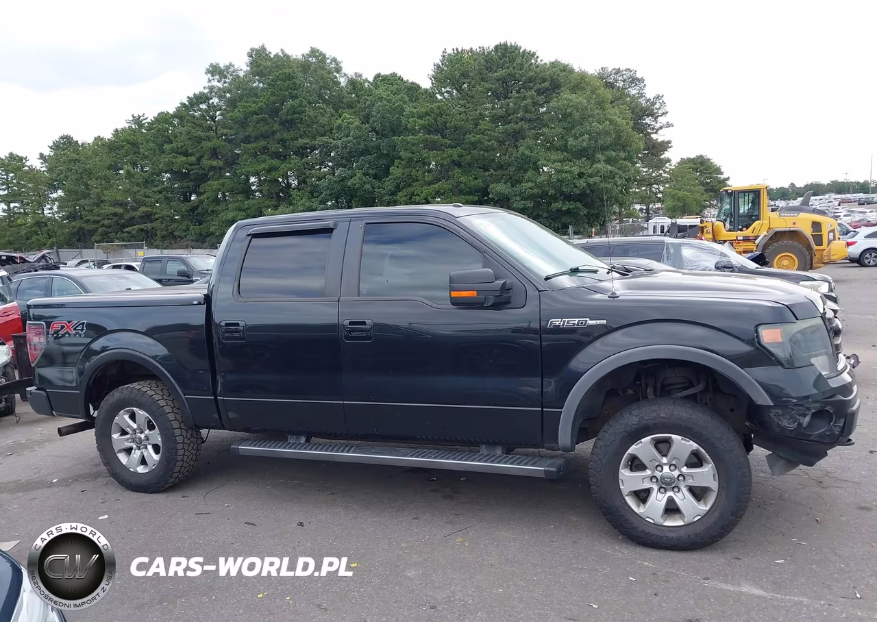 2013 Ford F-150 Fx4 VIN:1FTFW1EF9DKE21317 - 13