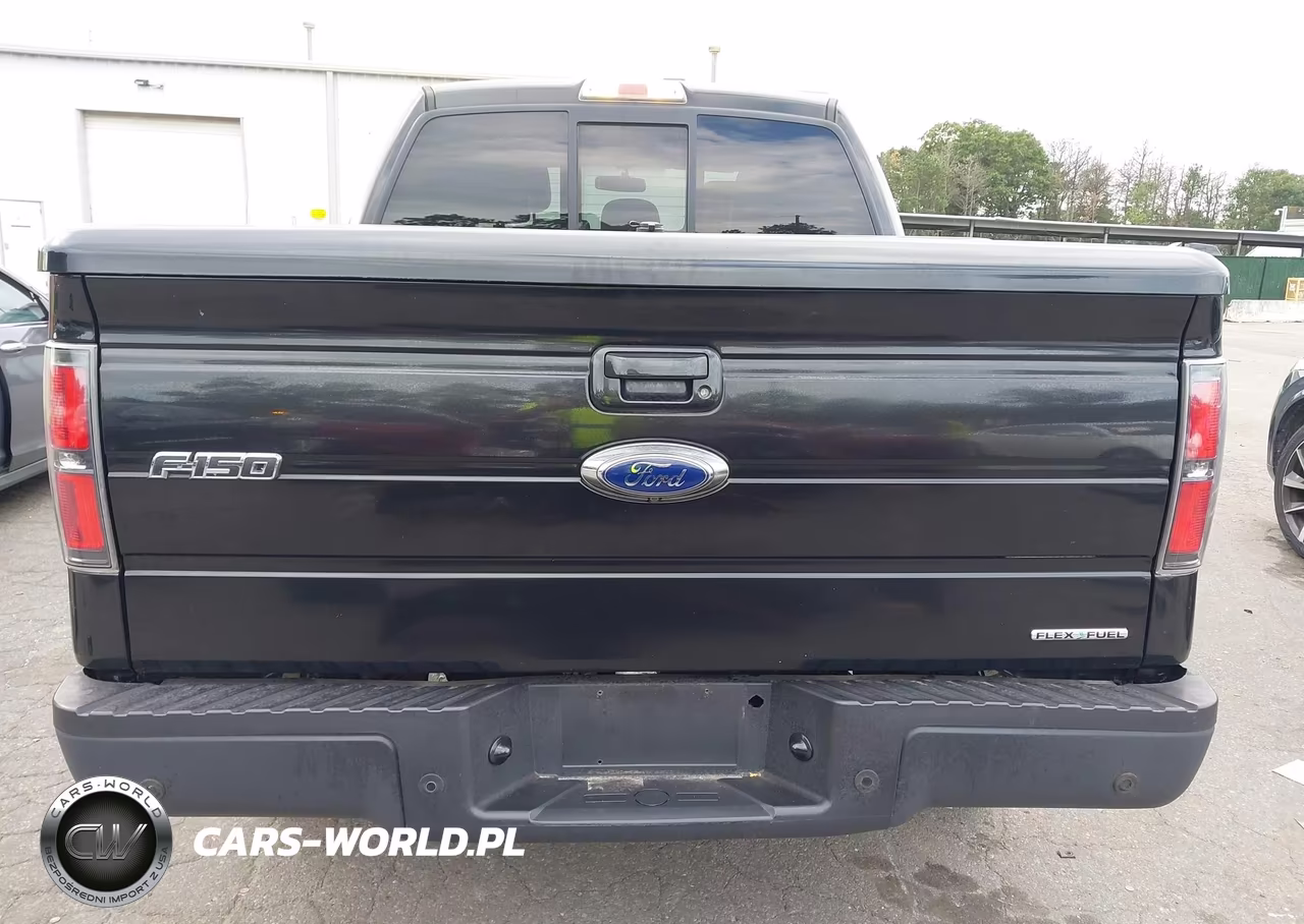 2013 Ford F-150 Fx4 VIN:1FTFW1EF9DKE21317 - 16