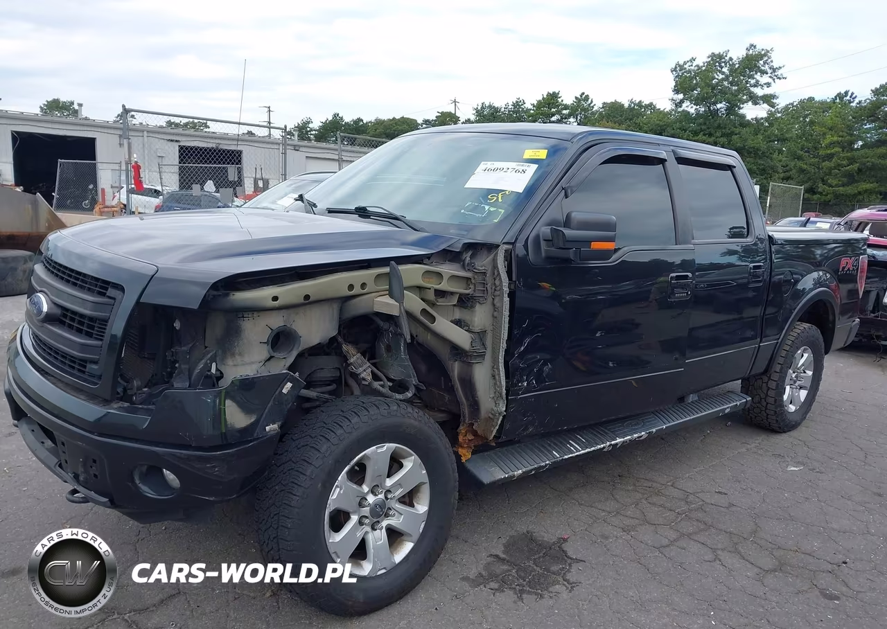 2013 Ford F-150 Fx4 VIN:1FTFW1EF9DKE21317 - 6