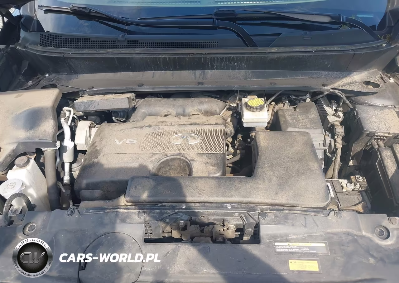 2019 Infiniti Qx60 Luxe VIN:5N1DL0MMXKC556187 - 10