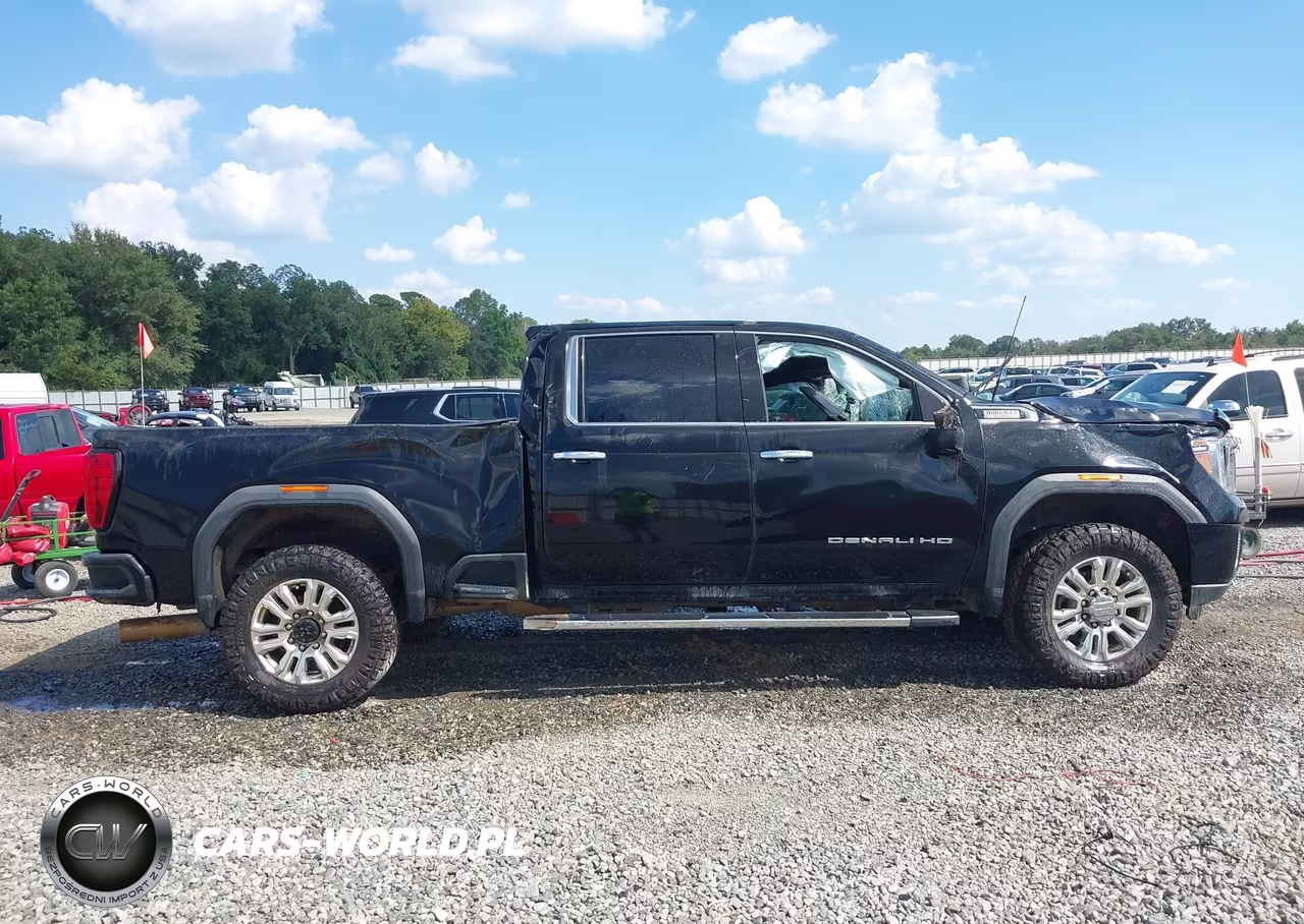 2022 GMC Sierra 2500Hd 4Wd Standard Bed Denali VIN:1GT49REY1NF352924 - 13