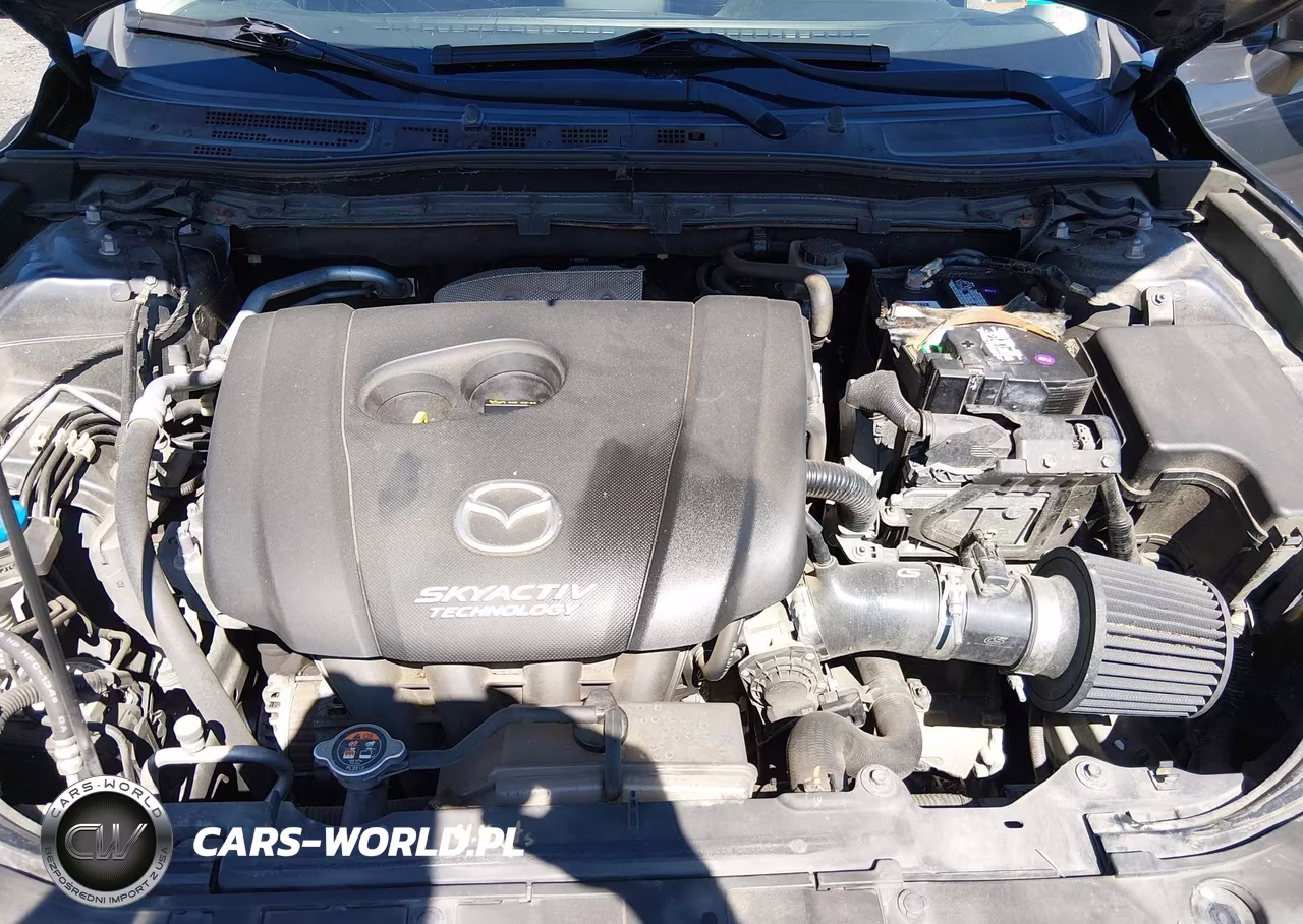 2014 Mazda Mazda3 I Sport VIN:JM1BM1U75E1183892 - 10