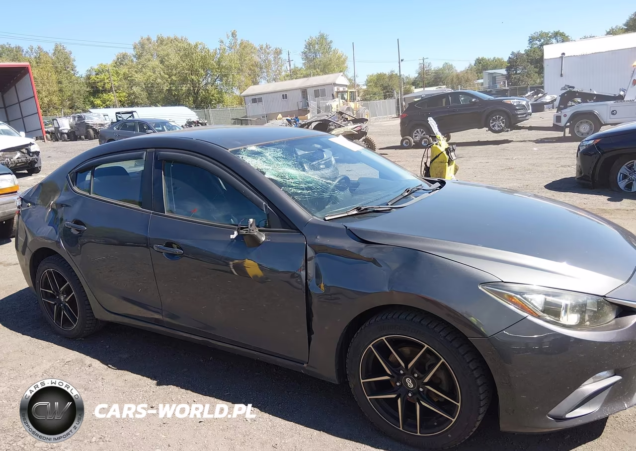 2014 Mazda Mazda3 I Sport VIN:JM1BM1U75E1183892 - 6