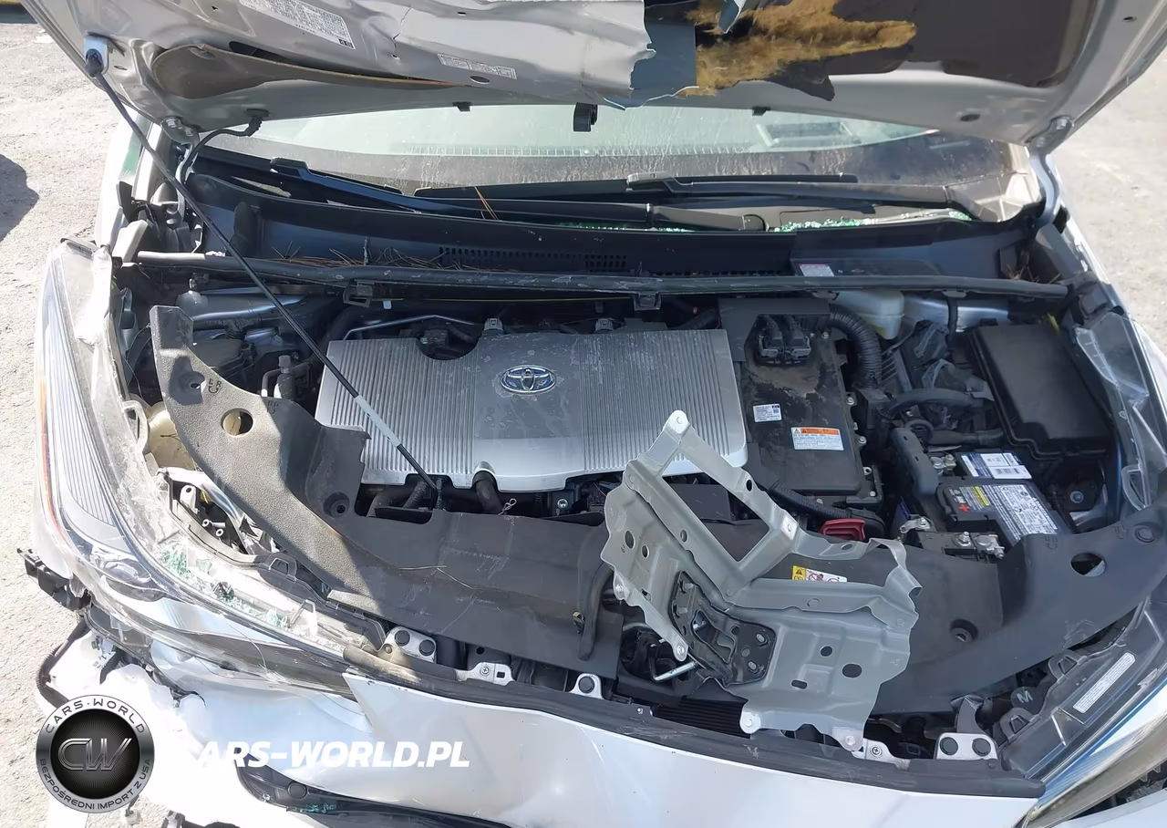 2019 Toyota Prius Limited VIN:JTDKARFU5K3075296 - 10