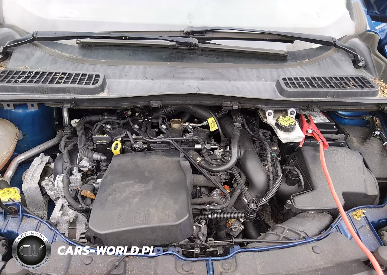2019 Ford Escape Sel VIN:1FMCU0HD6KUB21311 - 9