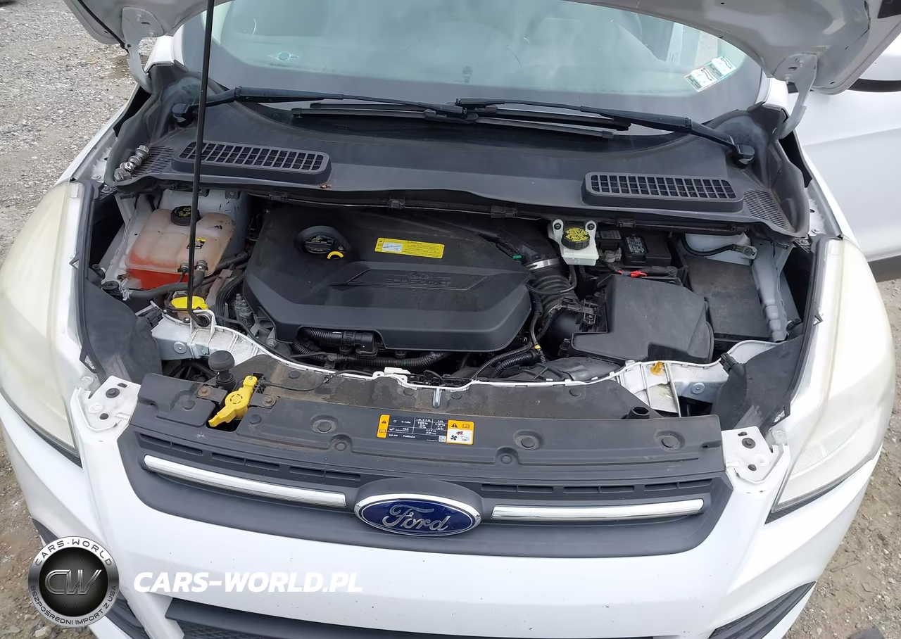 2013 Ford Escape Se VIN:1FMCU0GX3DUD68073 - 10