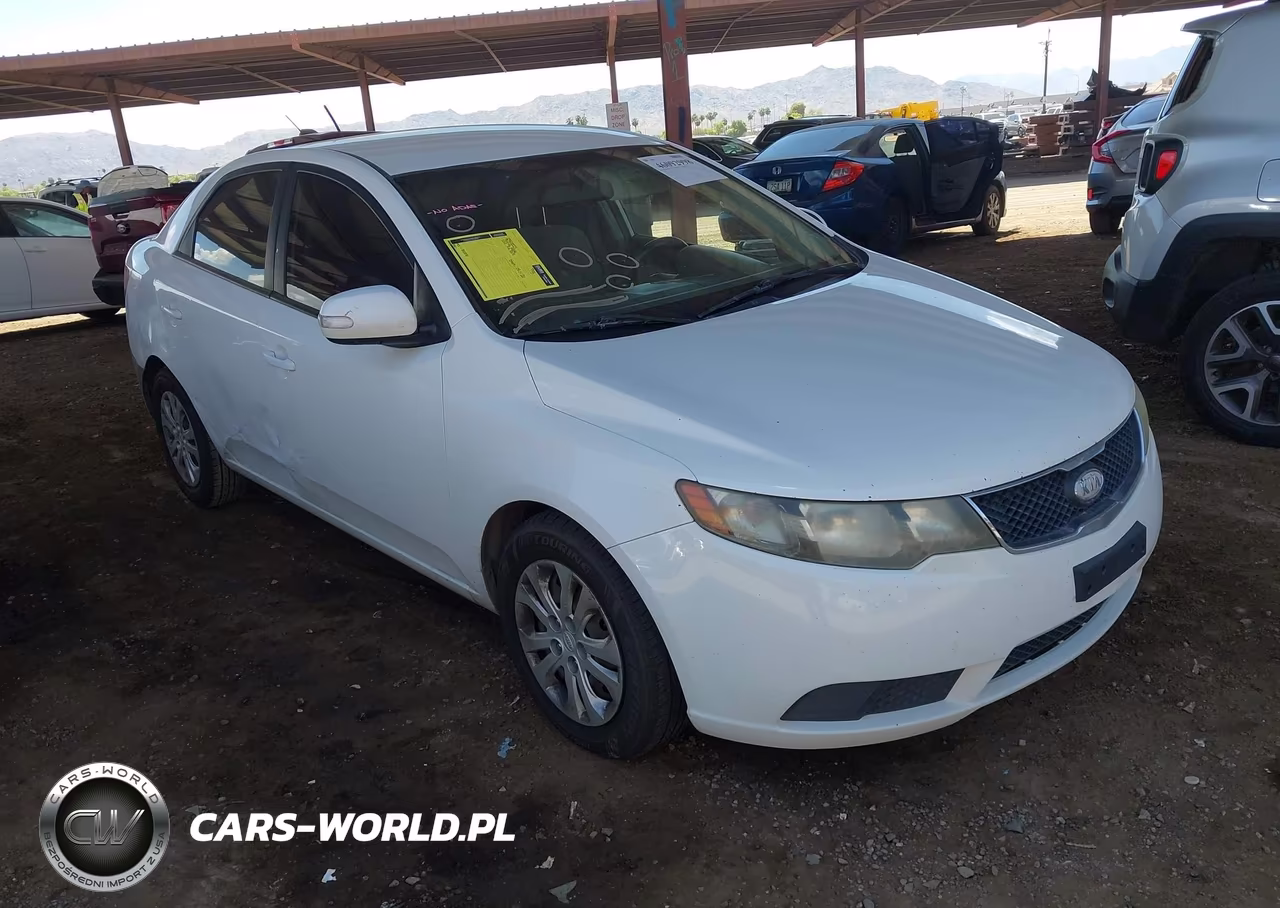 2010 Kia Forte Ex