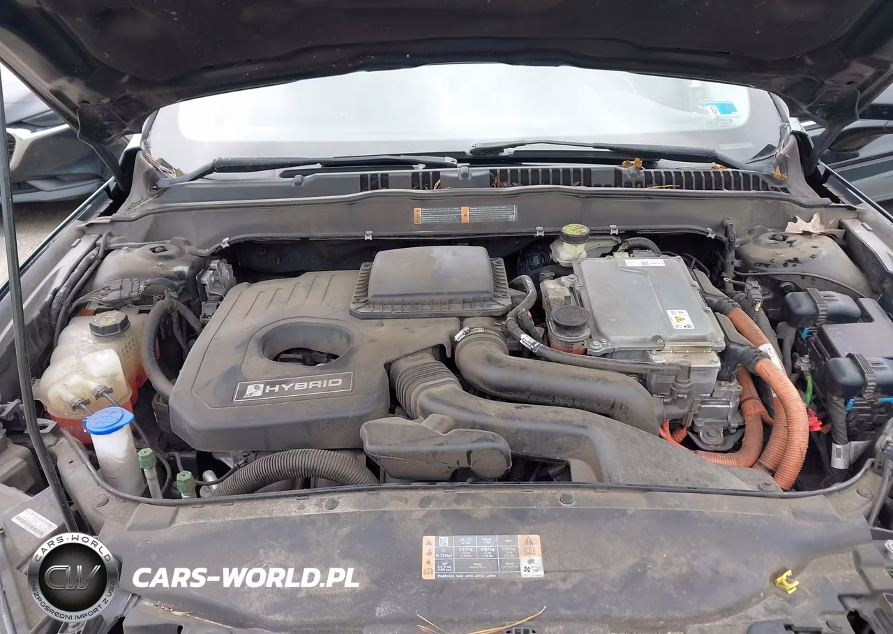 2017 Ford Fusion Hybrid Titanium VIN:3FA6P0RU8HR224095 - 10