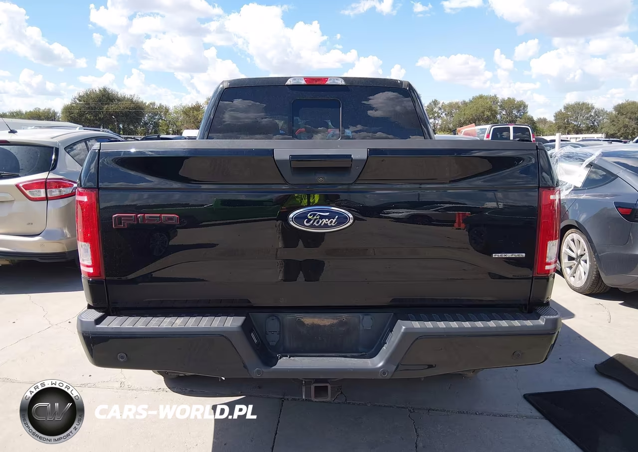 2016 Ford F-150 Xlt VIN:1FTEW1CF8GFA71643 - 16
