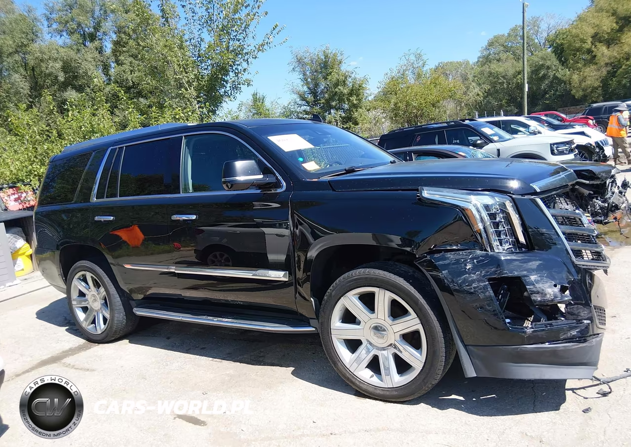 2017 Cadillac Escalade Luxury VIN:1GYS4BKJ4HR339845 - 14