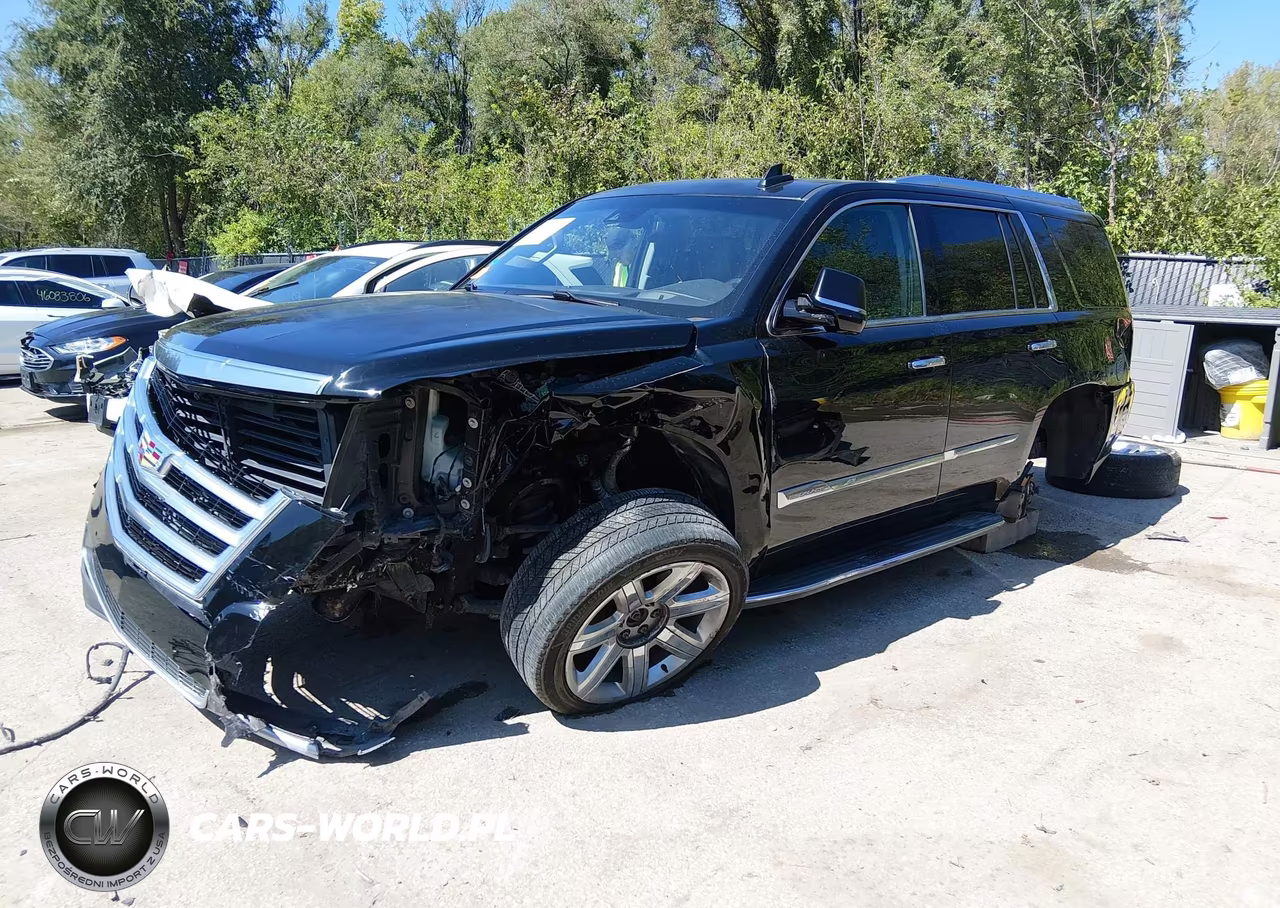 2017 Cadillac Escalade Luxury VIN:1GYS4BKJ4HR339845 - 2
