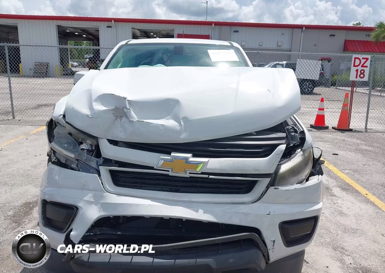 2019 Chevrolet Colorado Wt VIN:1GCGSBEN6K1338153 - 12