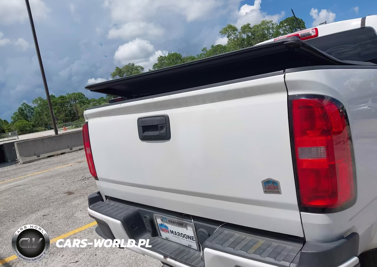 2019 Chevrolet Colorado Wt VIN:1GCGSBEN6K1338153 - 16