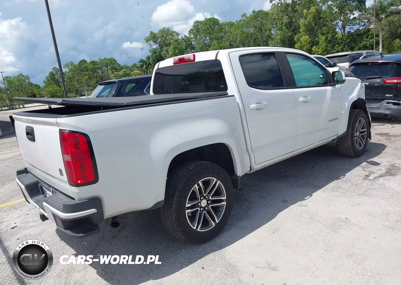 2019 Chevrolet Colorado Wt VIN:1GCGSBEN6K1338153 - 4
