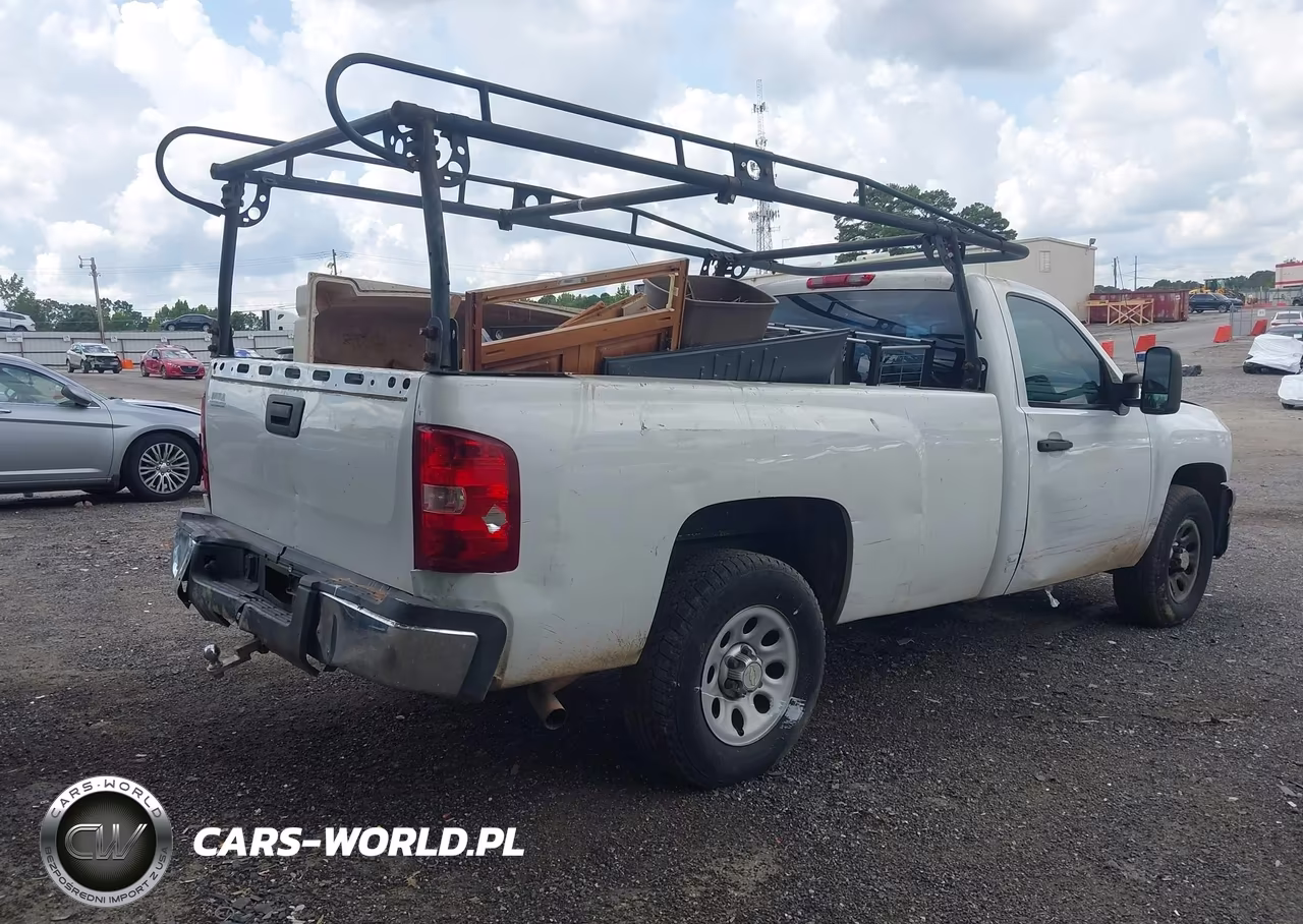 2009 Chevrolet Silverado 1500 Work Truck VIN:1GCEC14X49Z252286 - 13