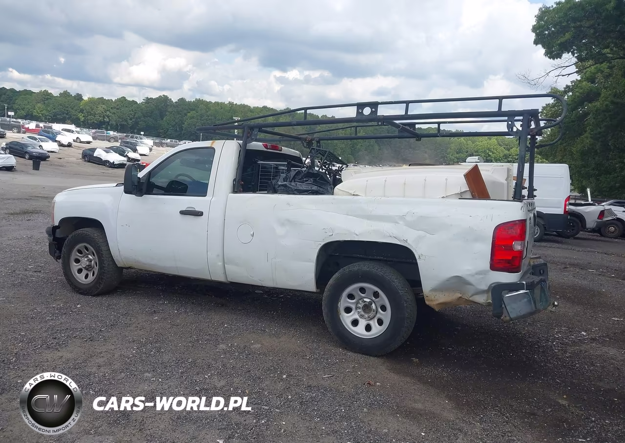2009 Chevrolet Silverado 1500 Work Truck VIN:1GCEC14X49Z252286 - 6
