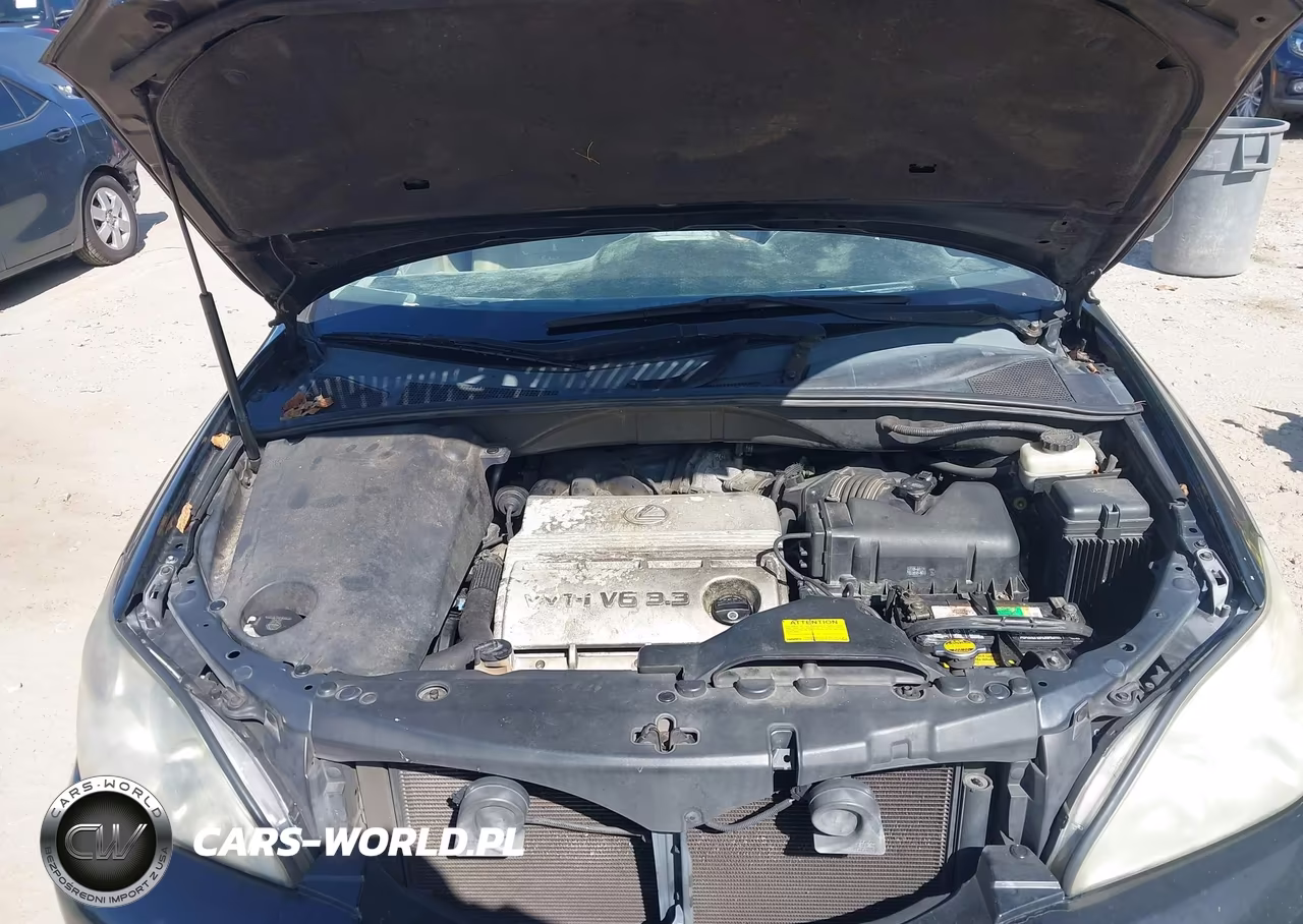 2004 Lexus Rx 330 VIN:2T2GA31U64C006942 - 10
