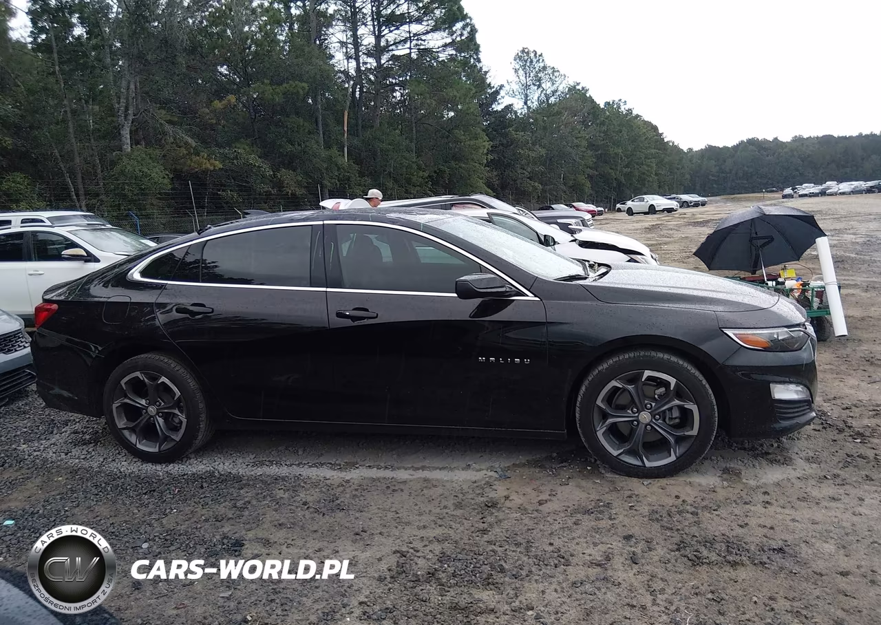 2025 Chevrolet Malibu Fwd 1Lt VIN:1G1ZD5ST8SF109816 - 13