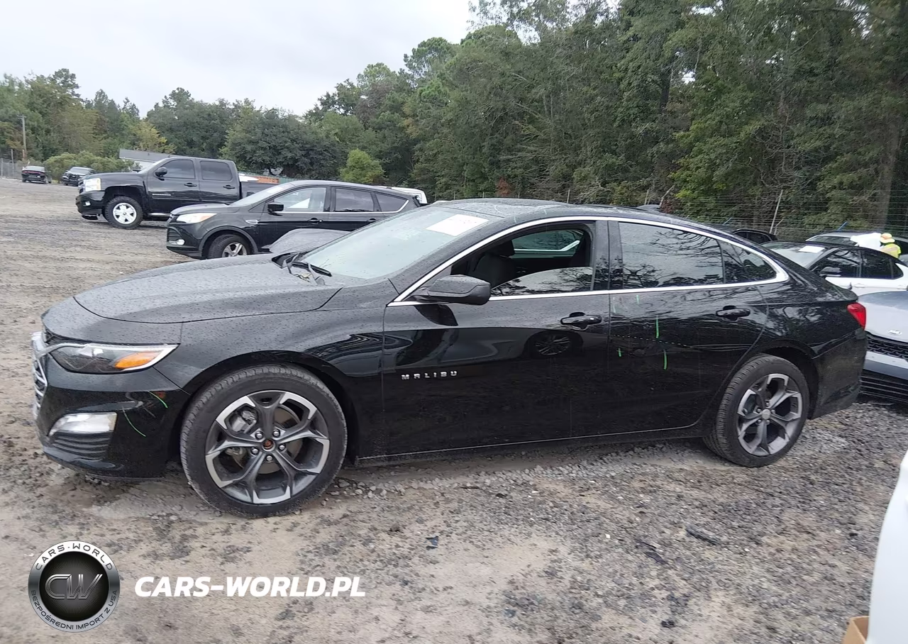 2025 Chevrolet Malibu Fwd 1Lt VIN:1G1ZD5ST8SF109816 - 14