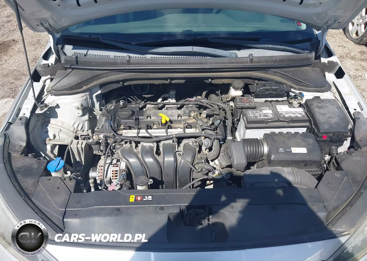 2019 Hyundai Elantra Se VIN:5NPD74LF2KH424256 - 10
