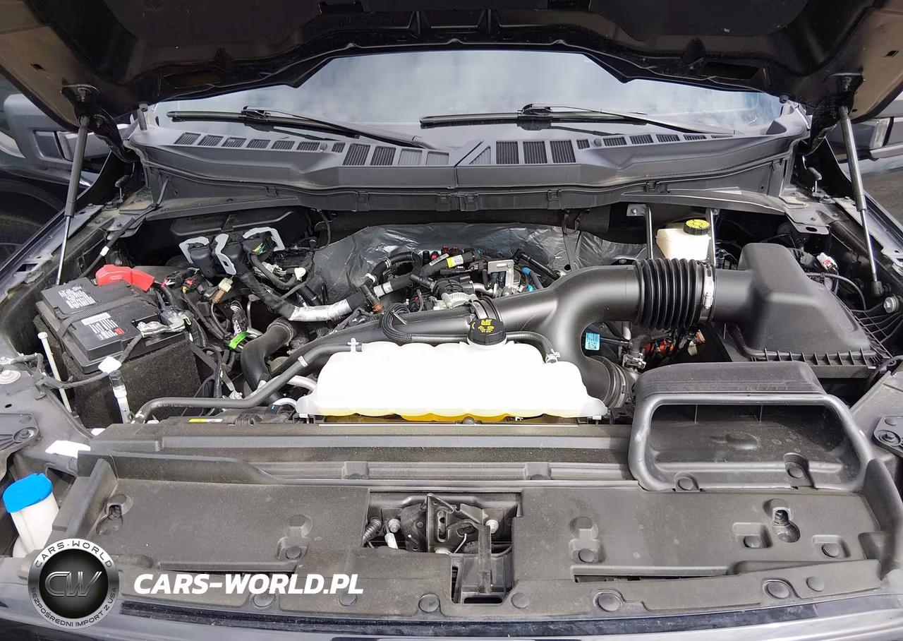 2024 Ford F-150 Xlt VIN:1FTEW3LP1RKE11049 - 10